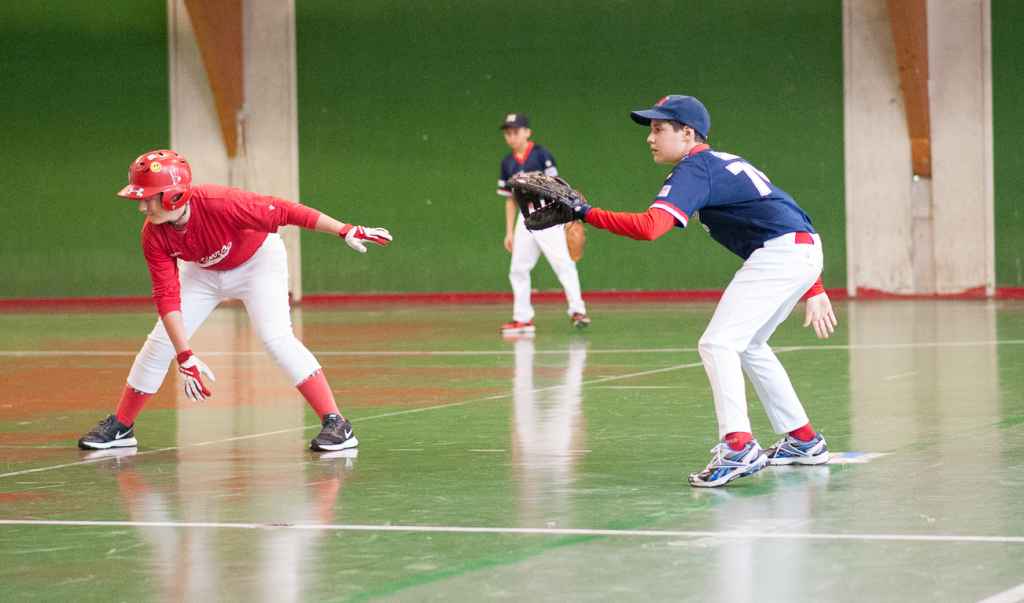 Baseball Under 12, Piacenza Baseball