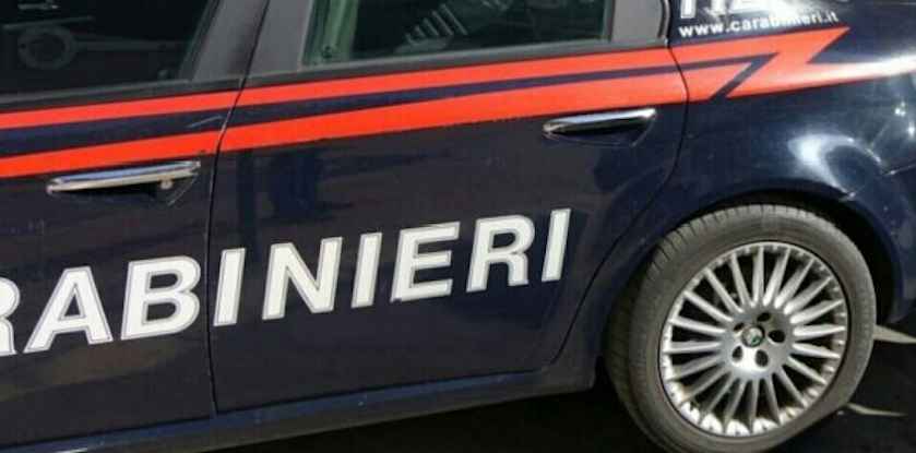 Cagnolino chiuso in auto sotto il sole Fiorenzuola