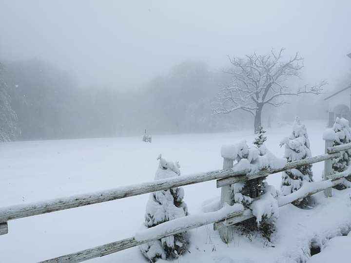 neve Prima nevicata della stagione nel piacentino