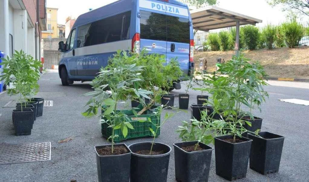 In soffitta aveva allestito una serra di marijuana, 60enne denunciato