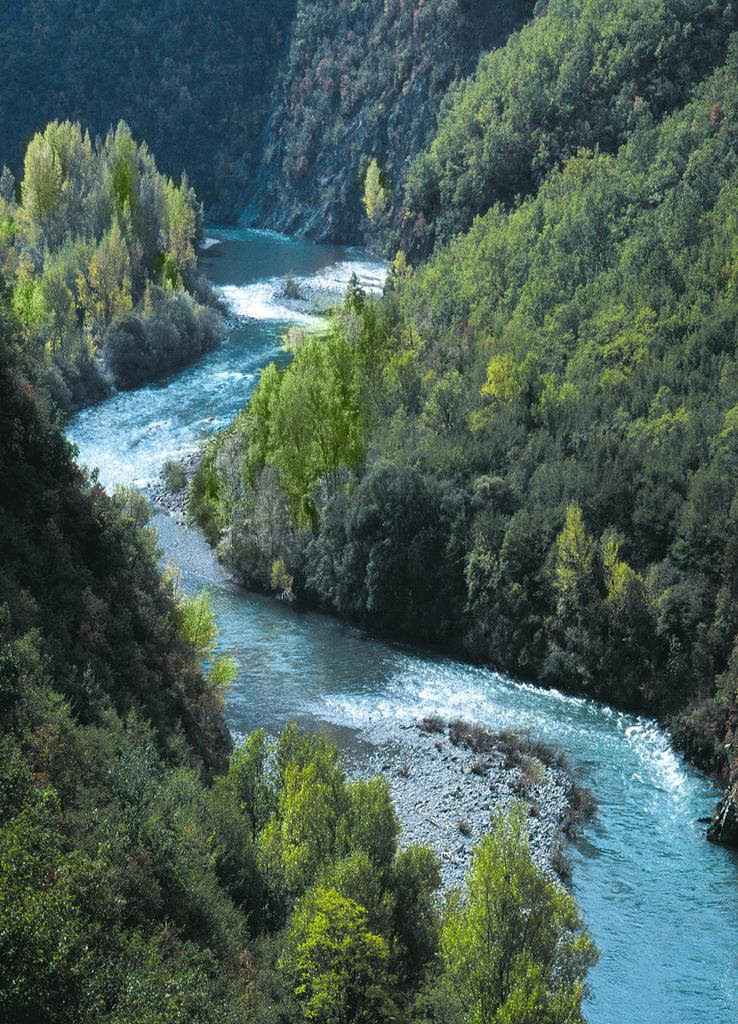 Dal Trebbia riaffiora un cadavere