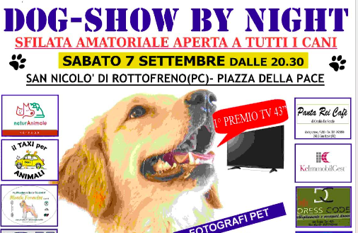 Dog Show Dog Show