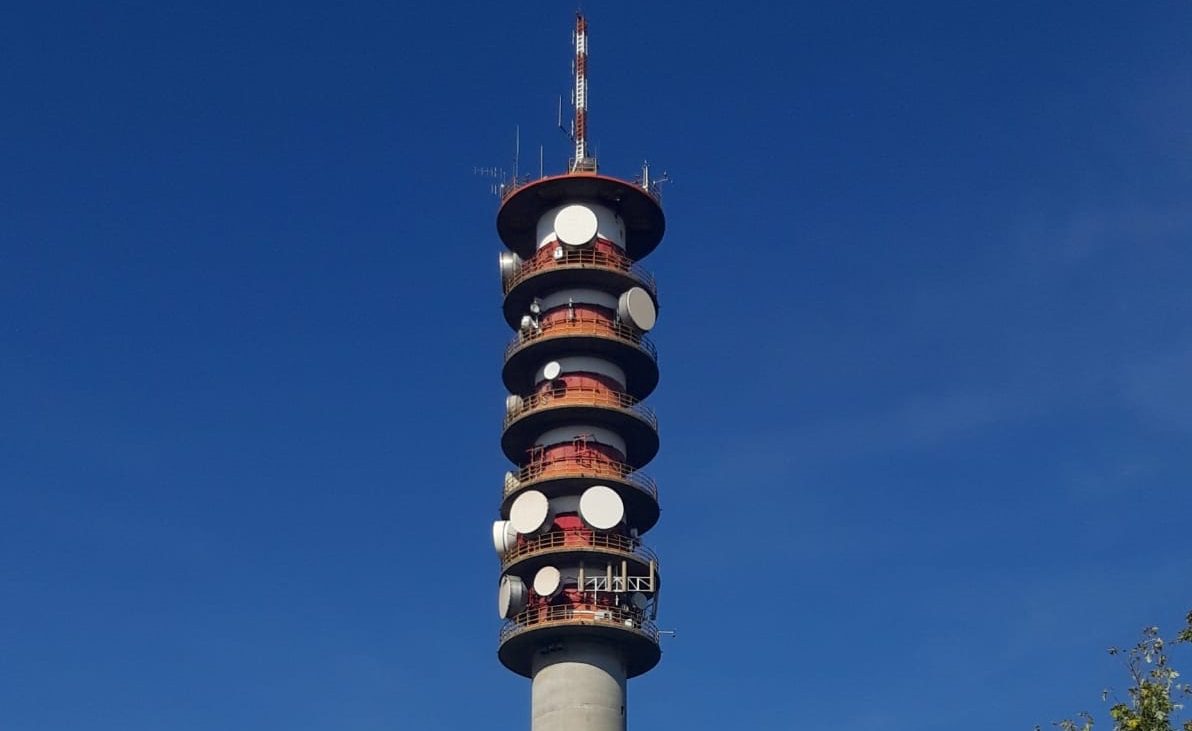 antenna farnesiana