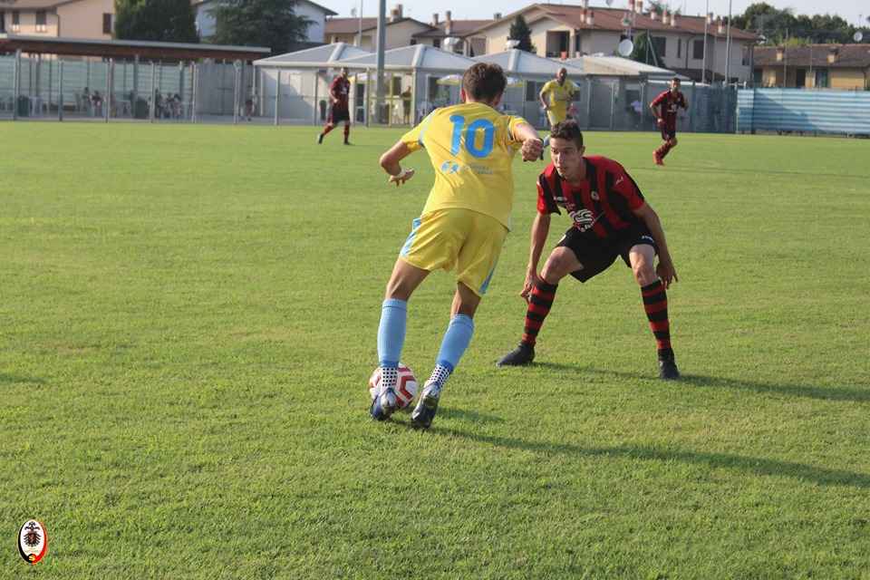 Vigor Carpaneto