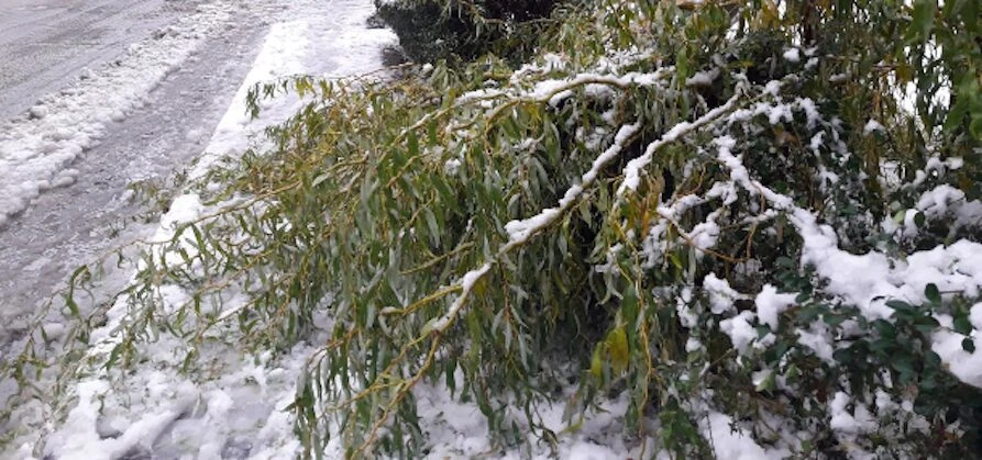 Pioggia, sole e neve nel piacentino durante i giorni di festa, Corazzon di 3B Meteo: "Continui cambiamenti" - AUDIO