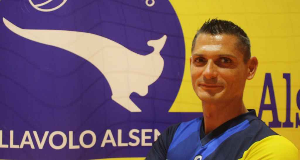 alsenese pallavolo