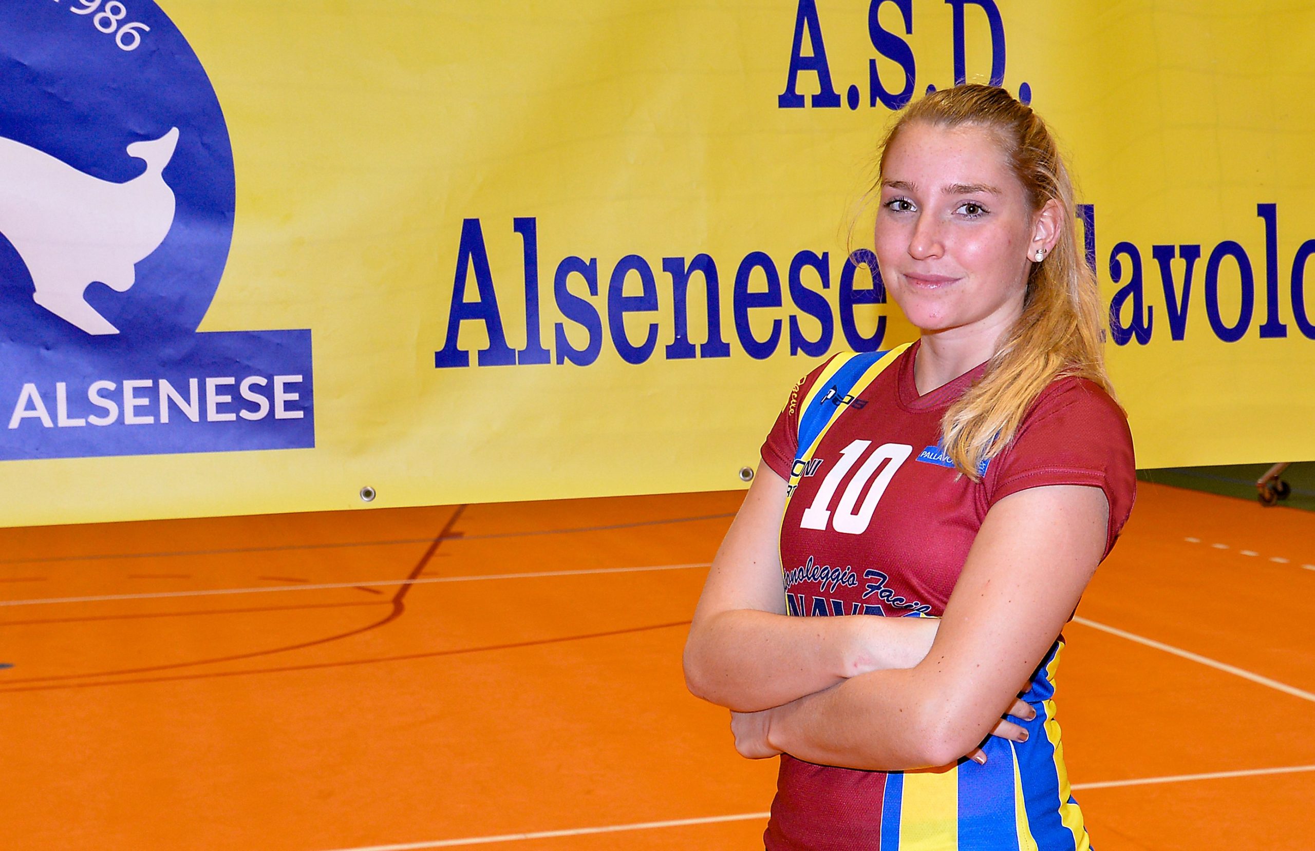 conad alsenese conad alsenese