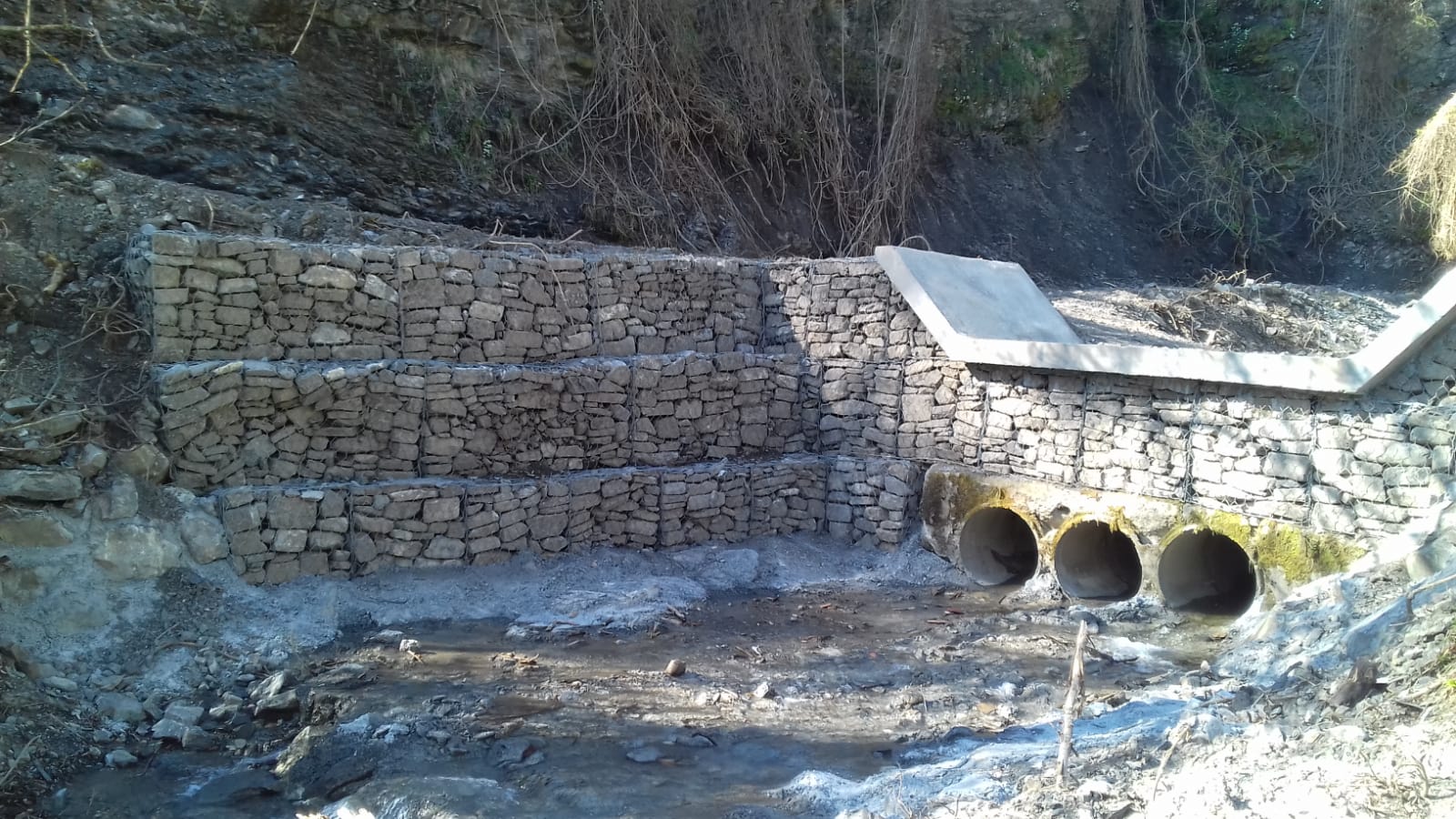 Rio Cavallo_a monte di Retorto