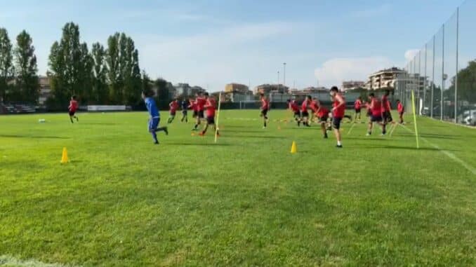piacenza calcio piacenza calcio
