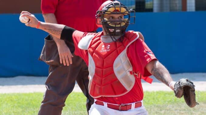 piacenza baseball