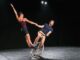 Residenza artistica a Piacenza dal 12 ottobre della Compagnia di Circo contemporaneo "Rasoterra"