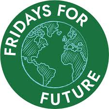 Fridays for Future a Piacenza