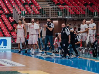 assigeco piacenza, stefano salieri