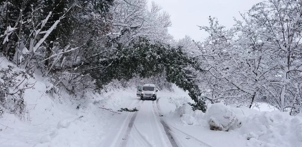 Neve, novanta interventi dei vigili del fuoco in poche ore. Ancora 200 famiglie senza luce. Corsi d’acqua sorvegliati speciali: preoccupa il torrente Riglio – AUDIO