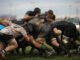 rugby lyons