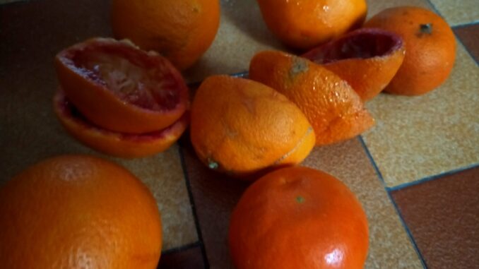 arance cibo spreco alimentare