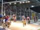 velodromo pavesi