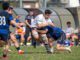 rugby lyons