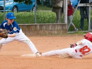 piacenza baseball