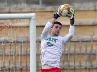 piacenza calcio, stucchi