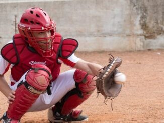 piacenza baseball