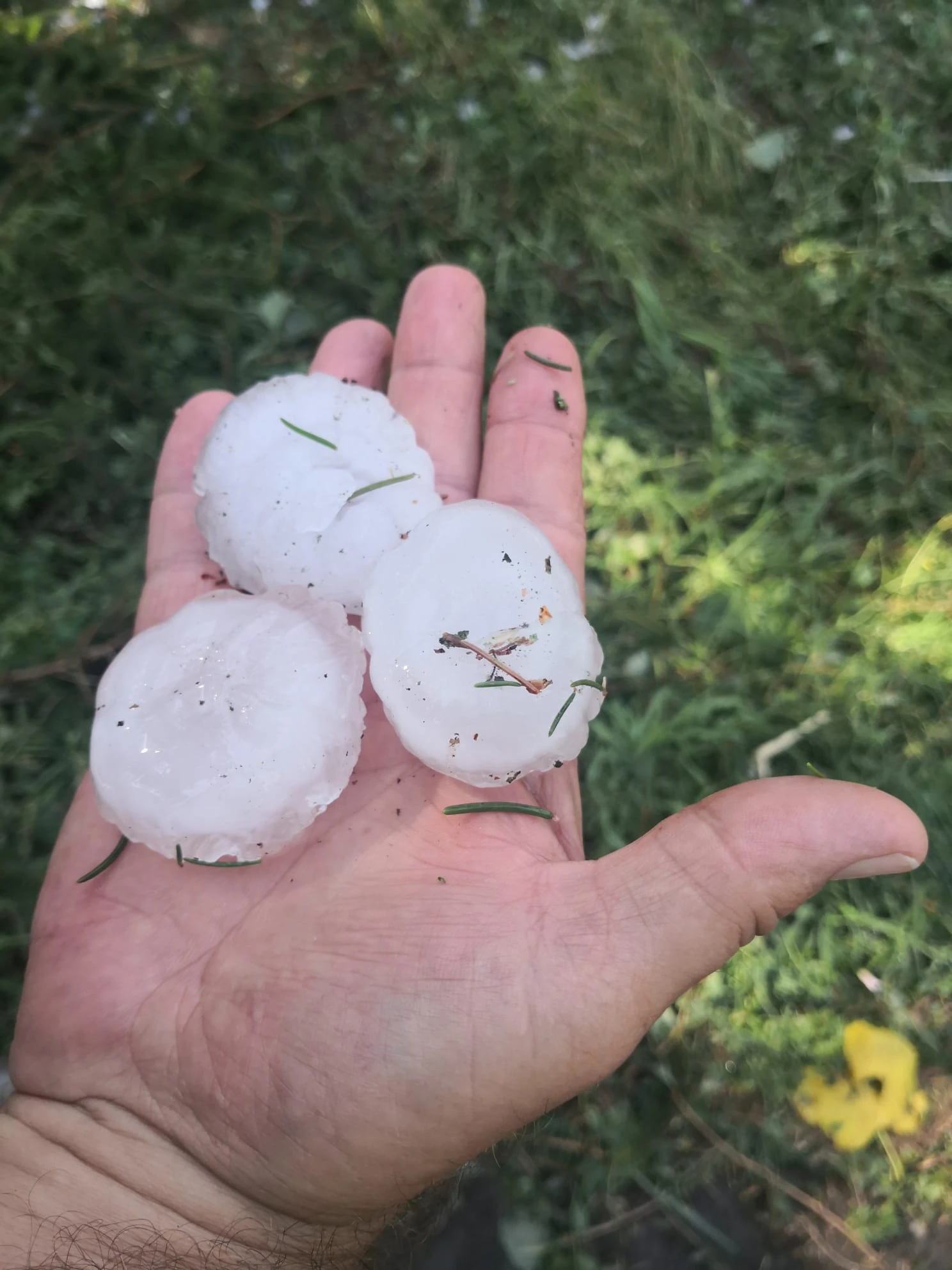 Val d'Arda, danni a causa della grandine,