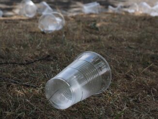 Stop alla plastica monouso, Bersani (Europa Verde): “Siamo contenti, anche a Piacenza ne troviamo troppa dispersa nell’ambiente” - AUDIO