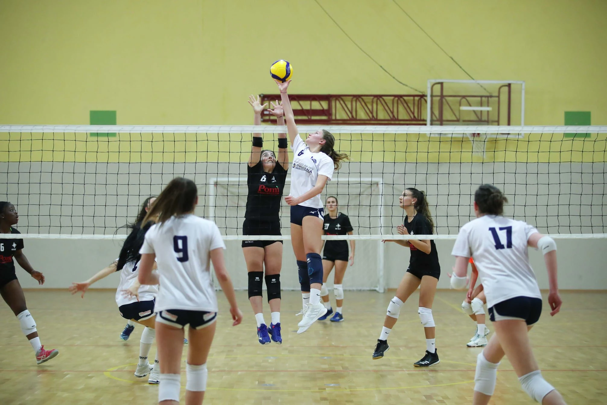 Busa Trasporti MioVolley