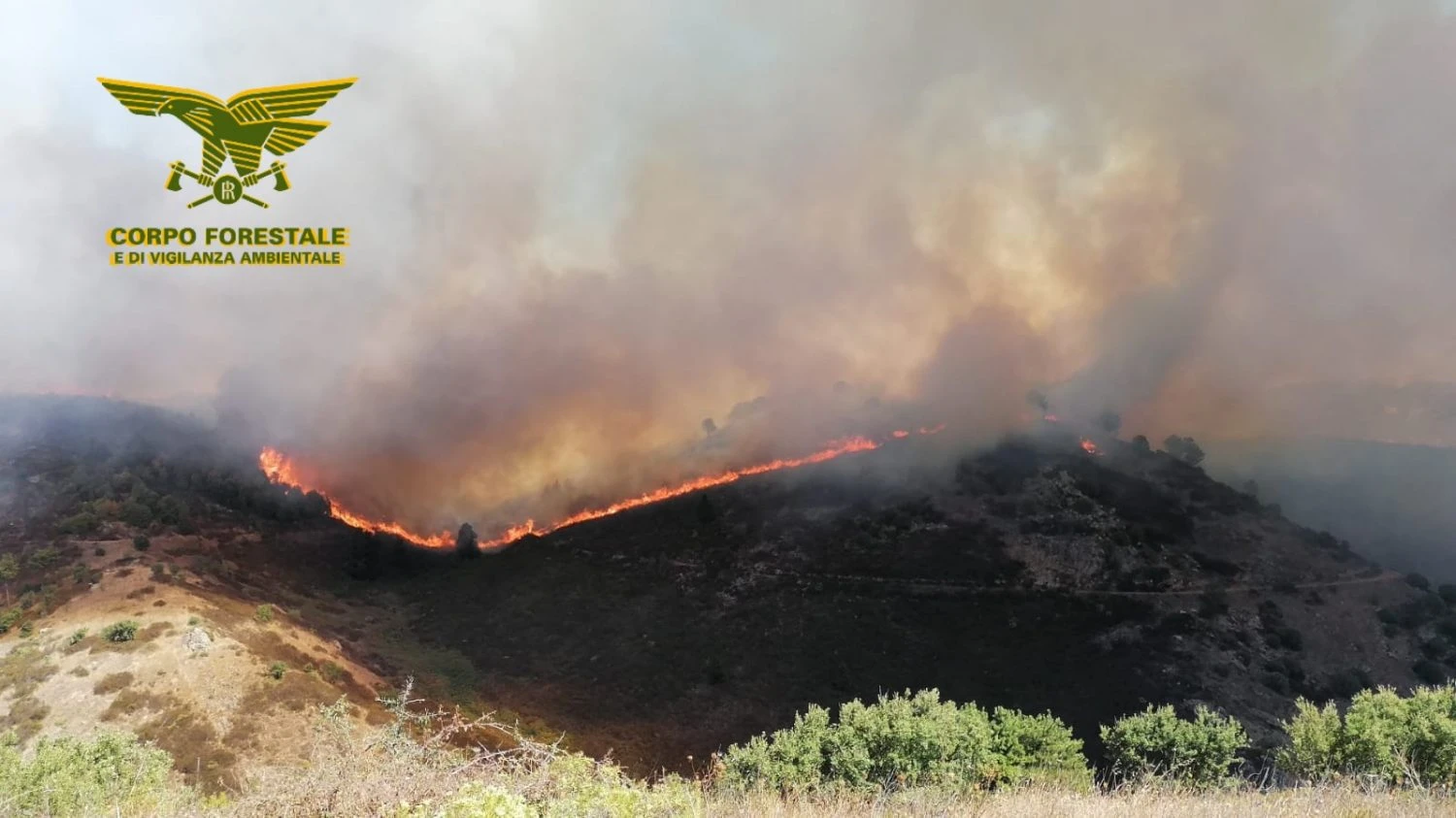 Incendi in Sardegna, il circolo Gremio Sardo “Efisio Tola” a fianco del Montiferru con una raccolta fondi