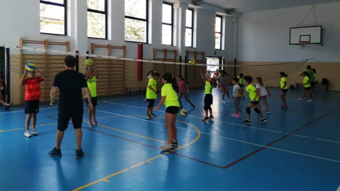 miovolley