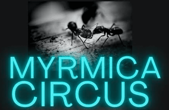 Il Progetto attorno alla figura di Aldo Braibanti, il 22 dicembre Myrmica Circus al Teatro San Matteo