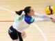 fumara miovolley