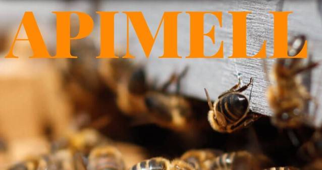 Apimell, Seminat e Buonvivere