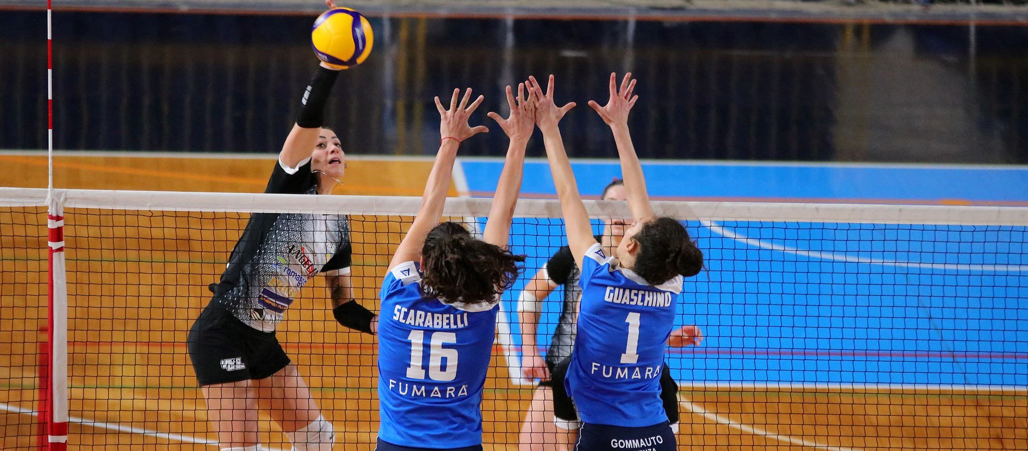 fumara miovolley