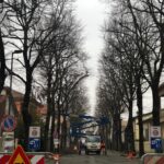 Conclusa la riqualificazione delle alberature all'Infrangibile. Mancioppi: “Tutela dell’ambiente, più sicurezza e decoro”