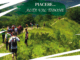 Presentazione del docu-film "Piacere...Alta Val Tidone” il 18 marzo. L'Assessore Traversone: "Occasione per promuovere un territorio molto bello" - AUDIO