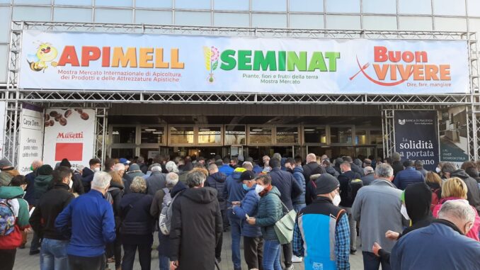 ingresso apimell