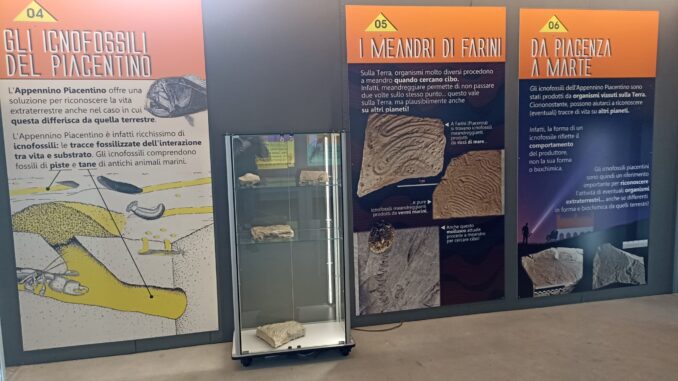 La mostra "Piacenza chiama Marte", al Museo di Storia Naturale dal 29 aprile al 2 ottobre 2022