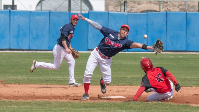 piacenza baseball