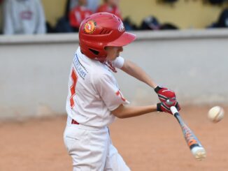 piacenza baseball