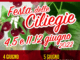 La Festa delle ciliegie a Villanova sull’Arda, due fine settimana di festa dal 4 al 12 giugno