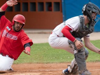 piacenza baseball