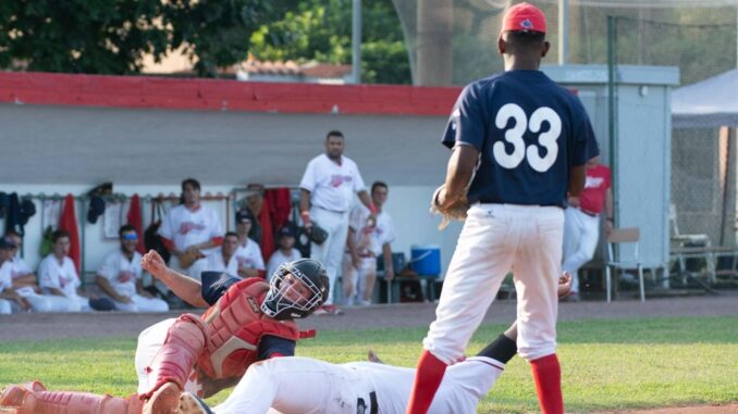 piacenza baseball