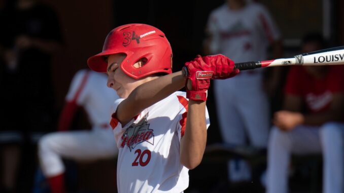 piacenza baseball