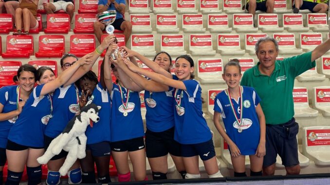 busa volley