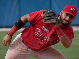 piacenza baseball