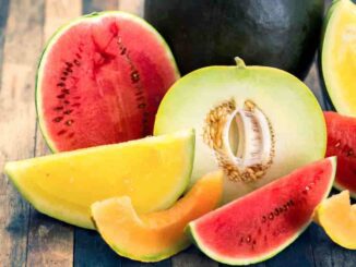 Ondata di calore, i consigli della nutrizionista piacentina Monica Maj: “Bere più acqua del solito aiuta, sfruttiamo la frutta e verdura di stagione” - AUDIO