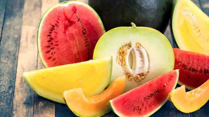 Ondata di calore, i consigli della nutrizionista piacentina Monica Maj: “Bere più acqua del solito aiuta, sfruttiamo la frutta e verdura di stagione” - AUDIO