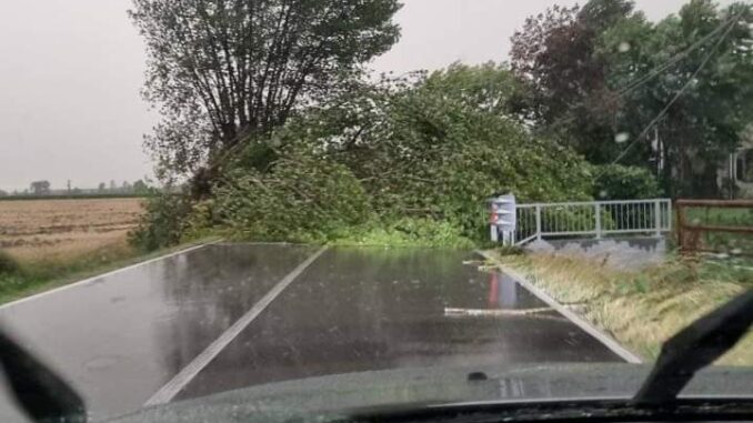 Maltempo, colpite diverse strade della Provincia. Marenghi