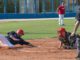 piacenza baseball